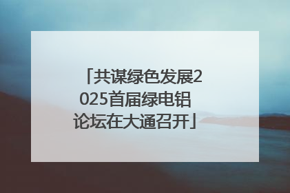 共谋绿色发展2025首届绿电铝论坛在大通召开