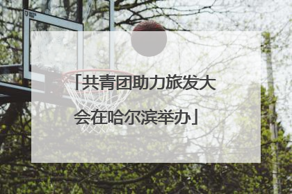 共青团助力旅发大会在哈尔滨举办