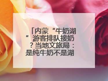 内蒙“牛奶湖”游客排队接奶？当地文旅局：是纯牛奶不是湖水，可放心喝