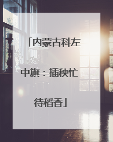 内蒙古科左中旗：插秧忙 待稻香