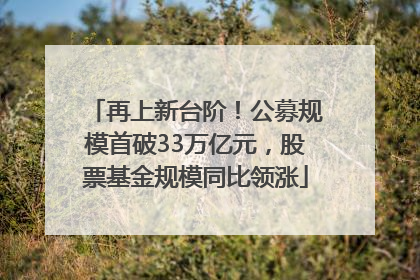 再上新台阶！公募规模首破33万亿元，股票基金规模同比领涨