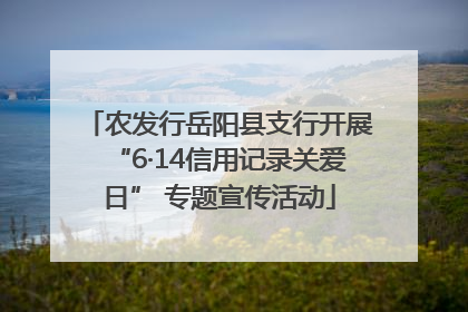 农发行岳阳县支行开展“6·14信用记录关爱日” 专题宣传活动