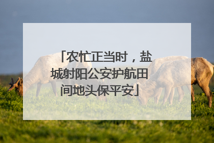 农忙正当时，盐城射阳公安护航田间地头保平安