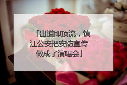 出道即顶流，镇江公安把安防宣传做成了演唱会