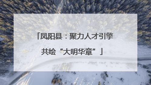 凤阳县：聚力人才引擎 共绘“大明华章”