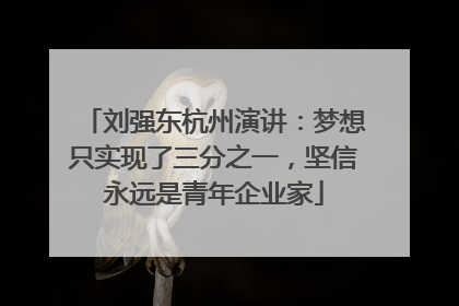 刘强东杭州演讲：梦想只实现了三分之一，坚信永远是青年企业家