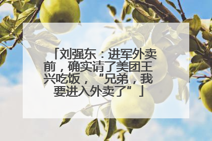 刘强东：进军外卖前，确实请了美团王兴吃饭，“兄弟，我要进入外卖了”