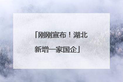刚刚宣布！湖北新增一家国企