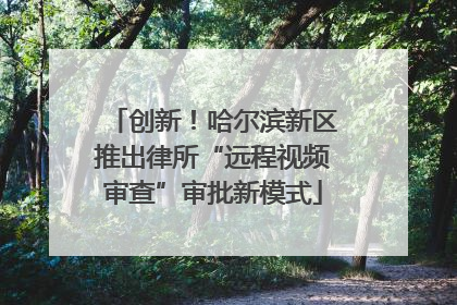 创新！哈尔滨新区推出律所“远程视频审查”审批新模式