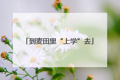 到麦田里“上学”去