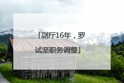 副厅16年，罗试坚职务调整