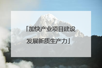 加快产业项目建设 发展新质生产力
