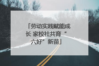劳动实践赋能成长 家校社共育“六好”新苗
