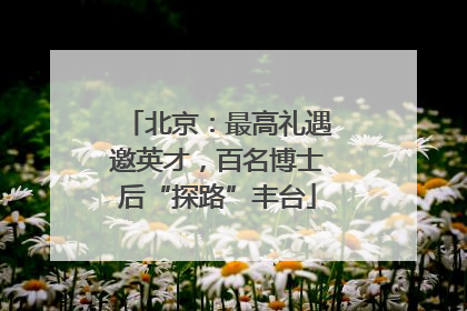 北京：最高礼遇邀英才，百名博士后“探路”丰台
