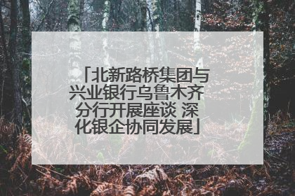 北新路桥集团与兴业银行乌鲁木齐分行开展座谈 深化银企协同发展