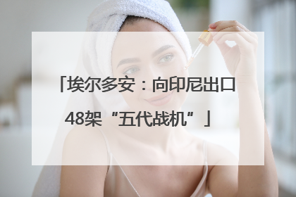 埃尔多安：向印尼出口48架“五代战机”