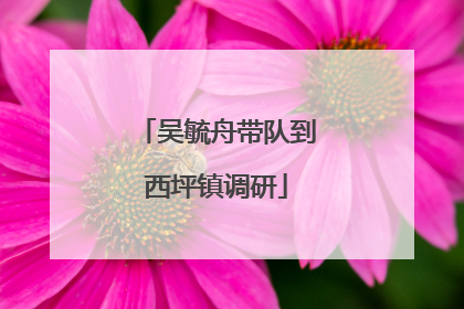 吴毓舟带队到西坪镇调研