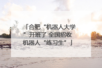 合肥“机器人大学”开班了 全国招收机器人“练习生”