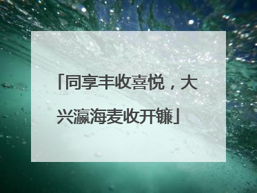 同享丰收喜悦，大兴瀛海麦收开镰