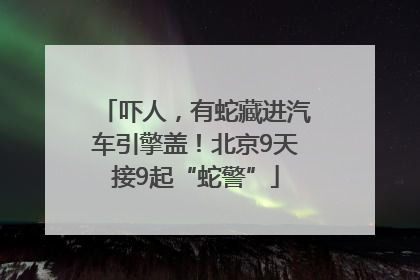 吓人，有蛇藏进汽车引擎盖！北京9天接9起“蛇警”