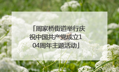 周家桥街道举行庆祝中国共产党成立104周年主题活动
