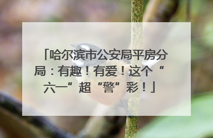 哈尔滨市公安局平房分局：有趣！有爱！这个“六一”超“警”彩！