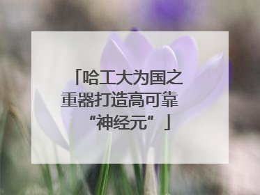 哈工大为国之重器打造高可靠“神经元”
