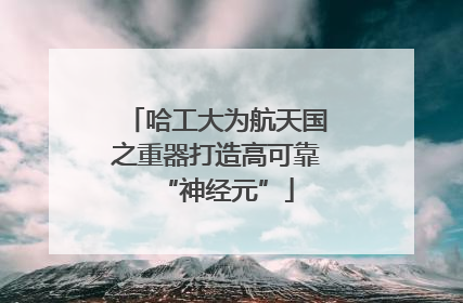 哈工大为航天国之重器打造高可靠“神经元”