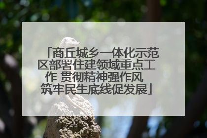 商丘城乡一体化示范区部署住建领域重点工作 贯彻精神强作风 筑牢民生底线促发展