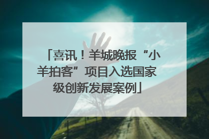 喜讯！羊城晚报“小羊拍客”项目入选国家级创新发展案例