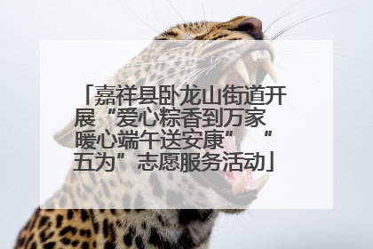 嘉祥县卧龙山街道开展“爱心粽香到万家 暖心端午送安康” “五为”志愿服务活动