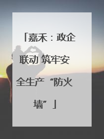 嘉禾：政企联动 筑牢安全生产“防火墙”