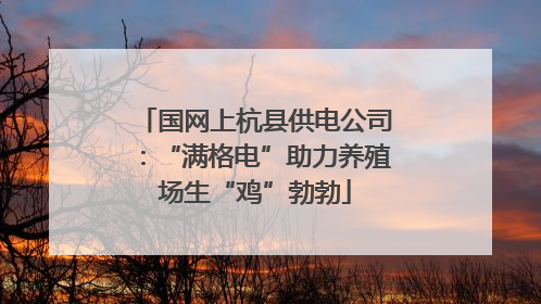国网上杭县供电公司：“满格电”助力养殖场生“鸡”勃勃
