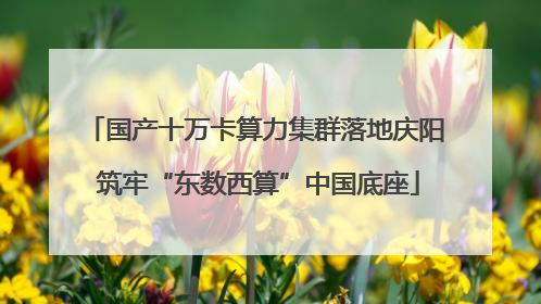 国产十万卡算力集群落地庆阳 筑牢“东数西算”中国底座