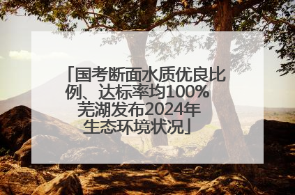 国考断面水质优良比例、达标率均100% 芜湖发布2024年生态环境状况