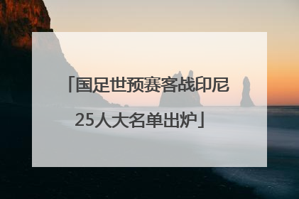 国足世预赛客战印尼25人大名单出炉