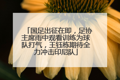 国足出征在即，足协主席雨中观看训练为球队打气，王钰栋期待全力冲击印尼队
