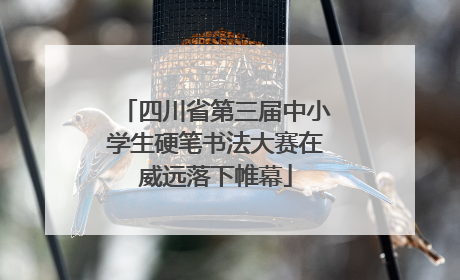 四川省第三届中小学生硬笔书法大赛在威远落下帷幕