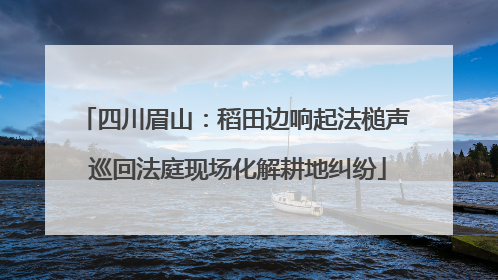 四川眉山：稻田边响起法槌声 巡回法庭现场化解耕地纠纷