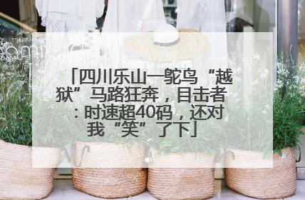 四川乐山一鸵鸟“越狱”马路狂奔，目击者：时速超40码，还对我“笑”了下