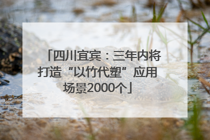 四川宜宾：三年内将打造“以竹代塑”应用场景2000个