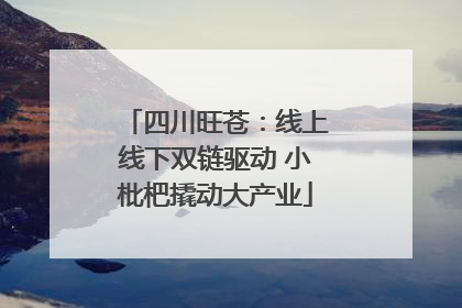 四川旺苍：线上线下双链驱动 小枇杷撬动大产业