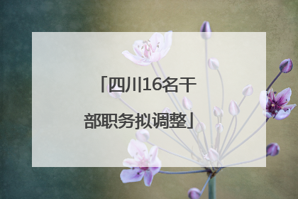 四川16名干部职务拟调整