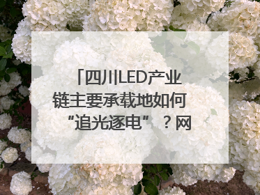 四川LED产业链主要承载地如何“追光逐电”？网络名人走进攀枝花找答案｜网络名人四川行