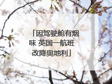 因驾驶舱有烟味 英国一航班改降奥地利