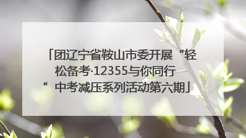 团辽宁省鞍山市委开展“轻松备考·12355与你同行”中考减压系列活动第六期