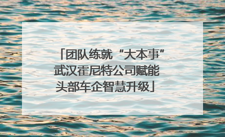 团队练就“大本事” 武汉霍尼特公司赋能头部车企智慧升级