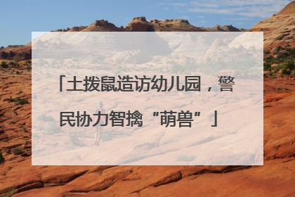 土拨鼠造访幼儿园，警民协力智擒“萌兽”