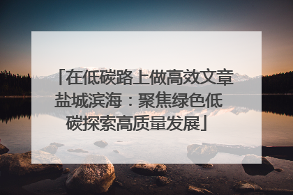 在低碳路上做高效文章 盐城滨海：聚焦绿色低碳探索高质量发展