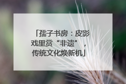 孺子书房：皮影戏里赏“非遗”，传统文化焕新机